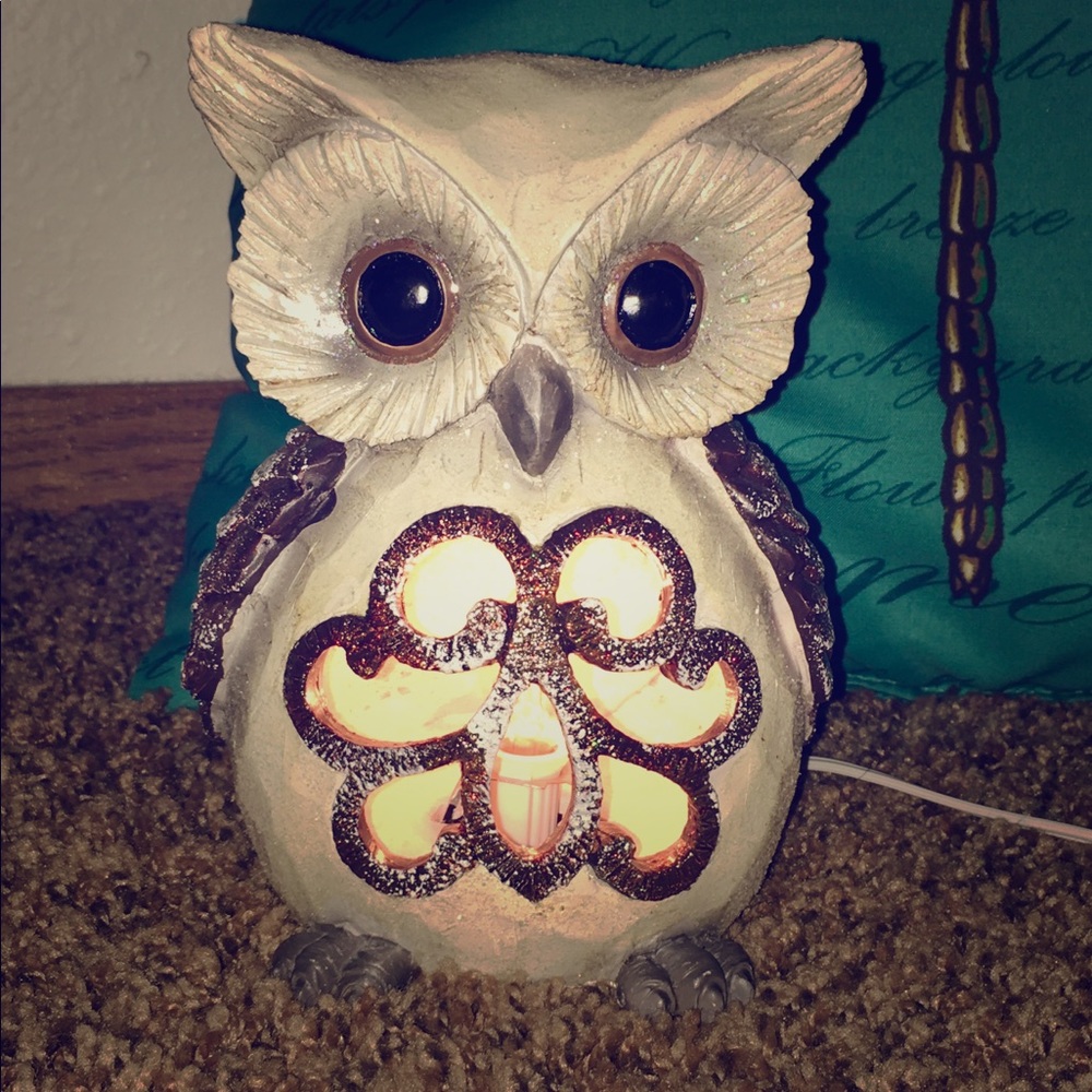 Ornamental Owl light.